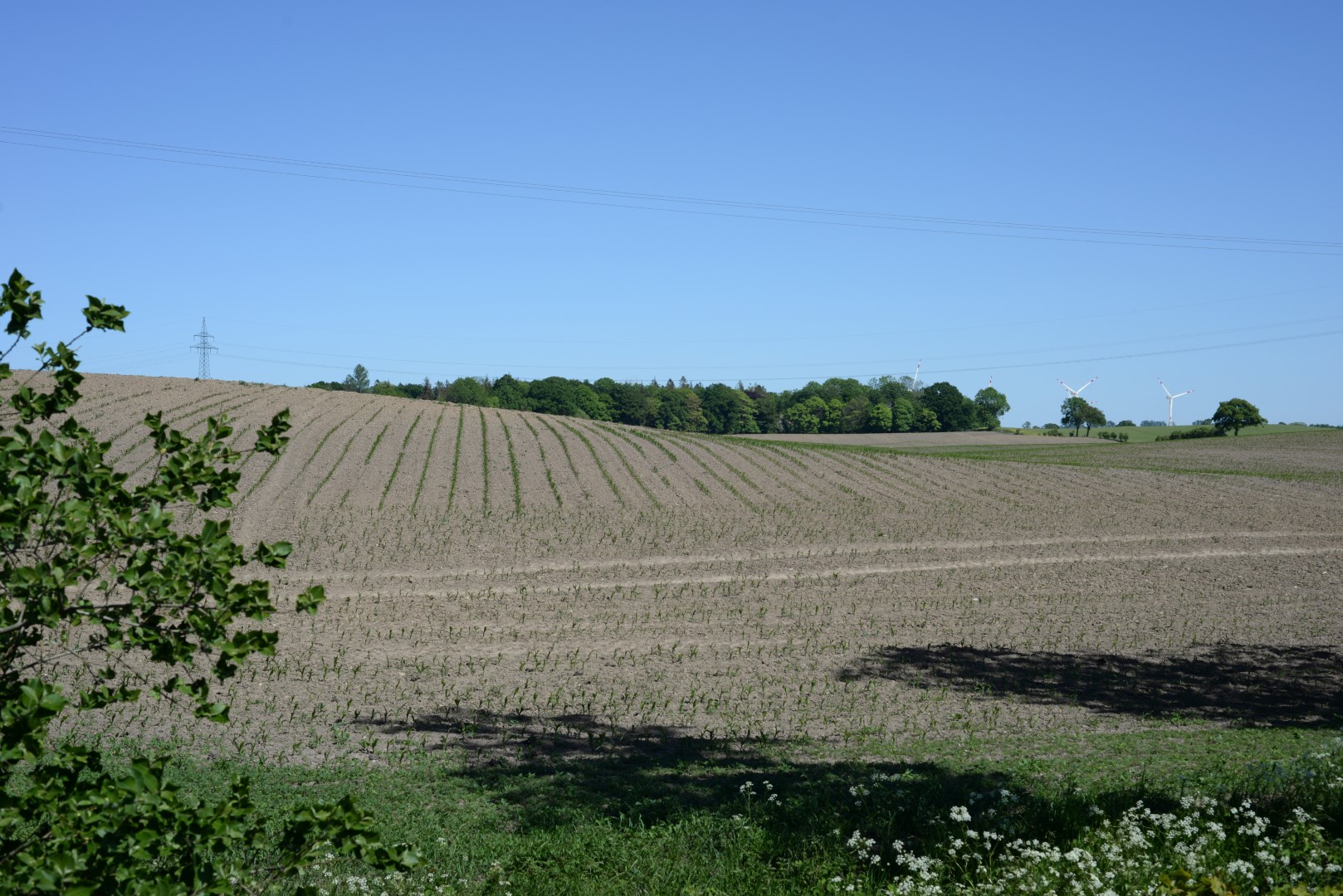 Before image