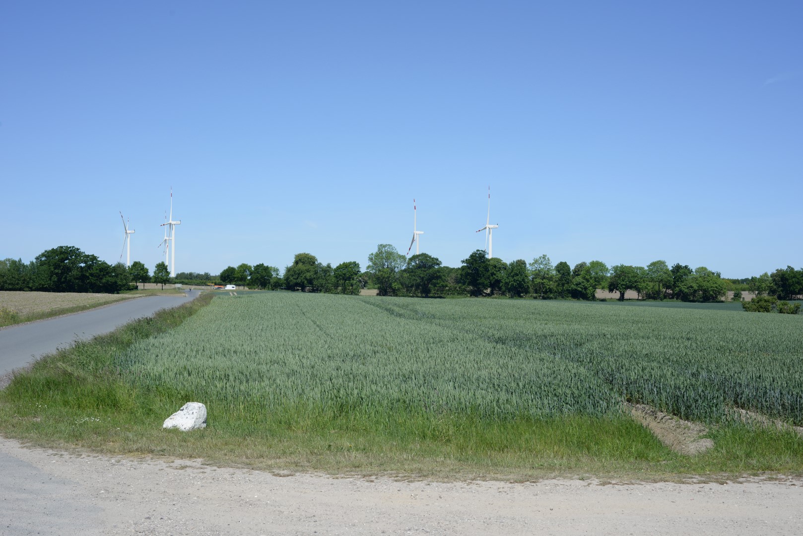 Before image