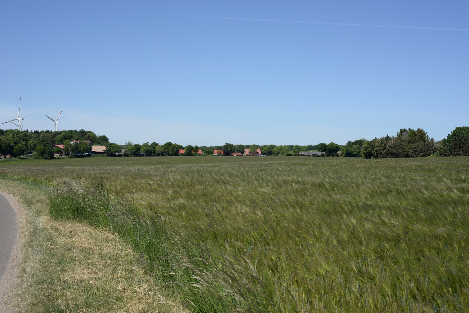 Before image